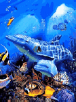 pic for Dolphins Undersea